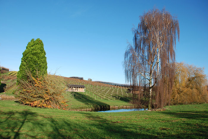 Luxury Lodges at Three Choirs Vineyards set in the vines
