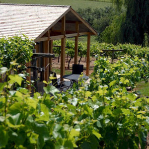 Three Choirs Vineyards Luxury Lodge Hidden in the vines