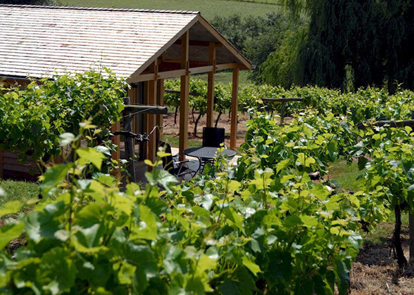 Three-choirs-vineyard-lodge-hidden-vines