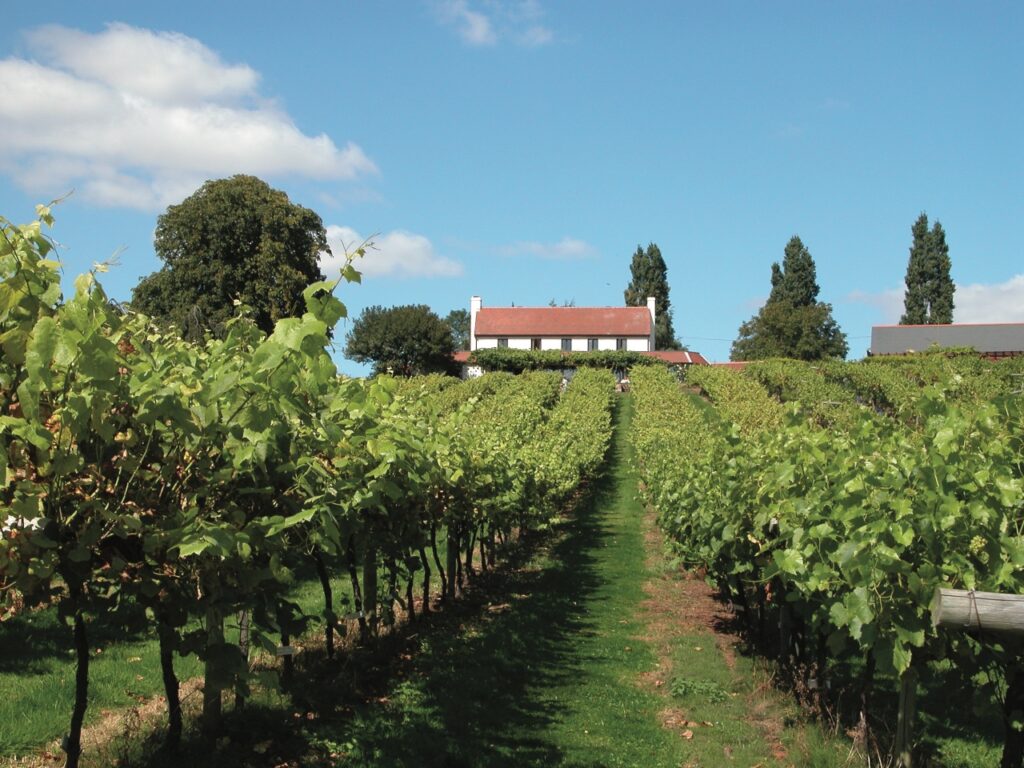 vineyard stays uk